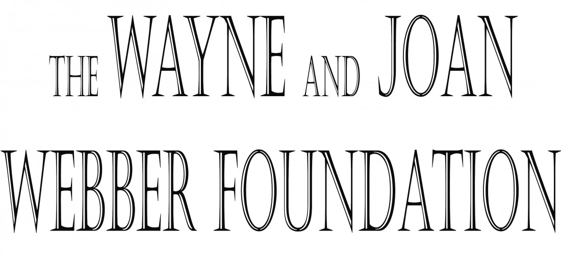 Wellness Center - Maggie\'s Wigs 4 Kids of Michigan - Webber-Foundation